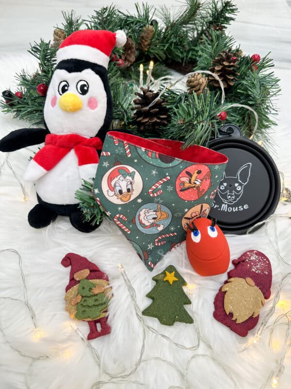 PACK NAVIDEÑO